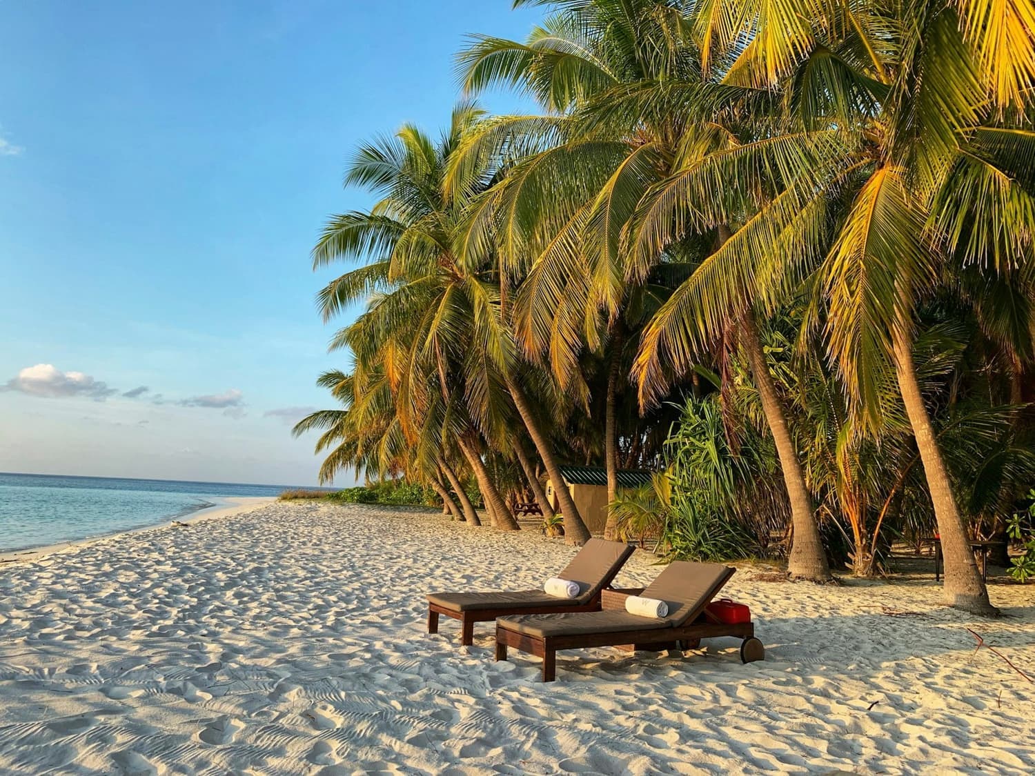 Loungers on the sand