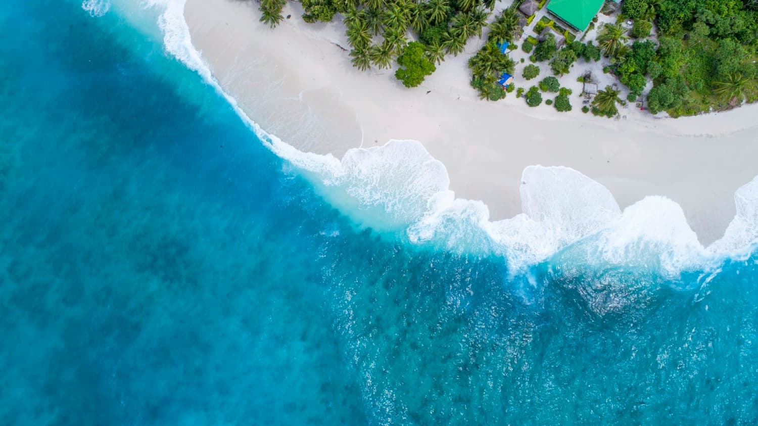 Where the reef meets the sand