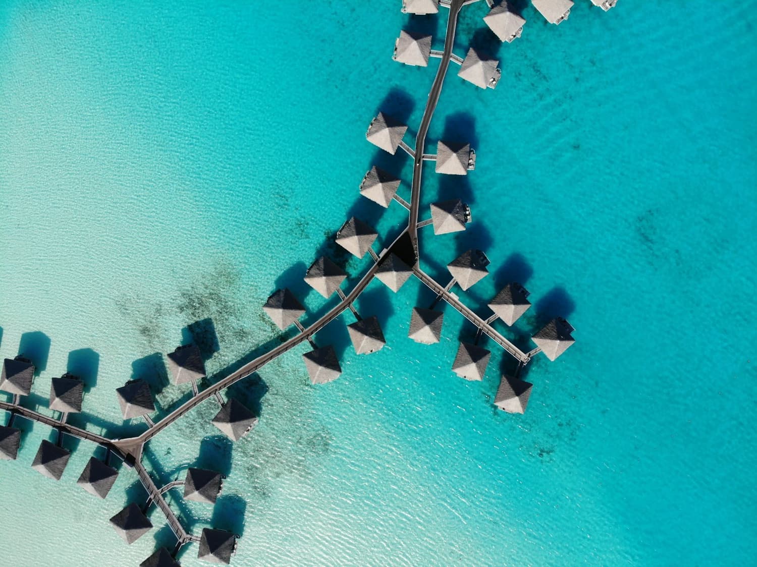 Over the lagoon
