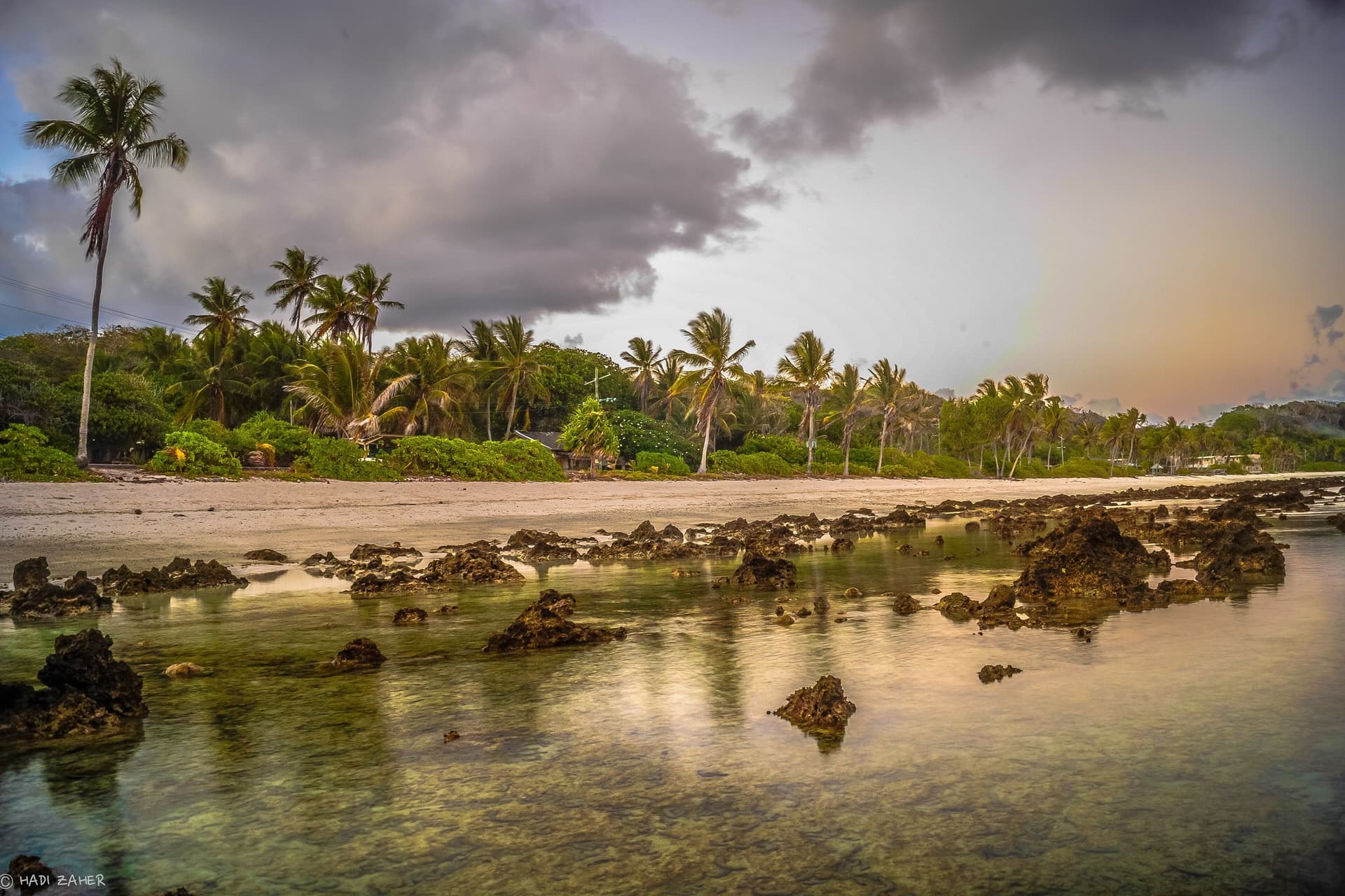 The reef at low tide